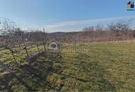 Saniertes ehemaliges Kellerstöckl - Ferienhaus - Tinyhaus mit großem Weingarten