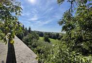 VERKAUF oder VERMIETUNG Schloss in idyllischer Lage