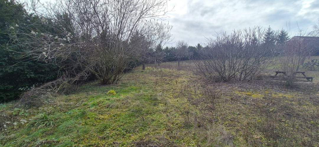 Manhartsbrunn: großer Baugrund in Ruhelage