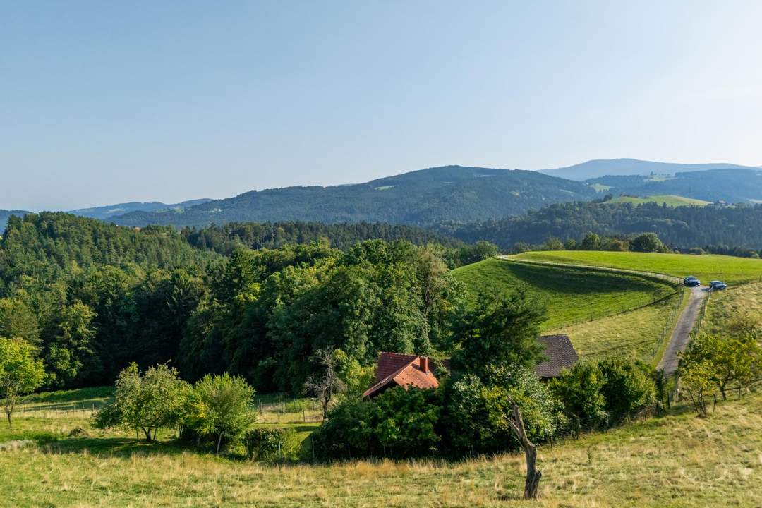 Landhaus mit Scheibengrundstück 23 Minuten vor Graz!