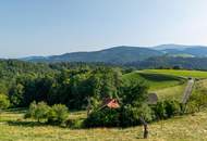 Landhaus mit Scheibengrundstück 23 Minuten vor Graz!