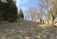 Einfamilienhaus mit großem Garten