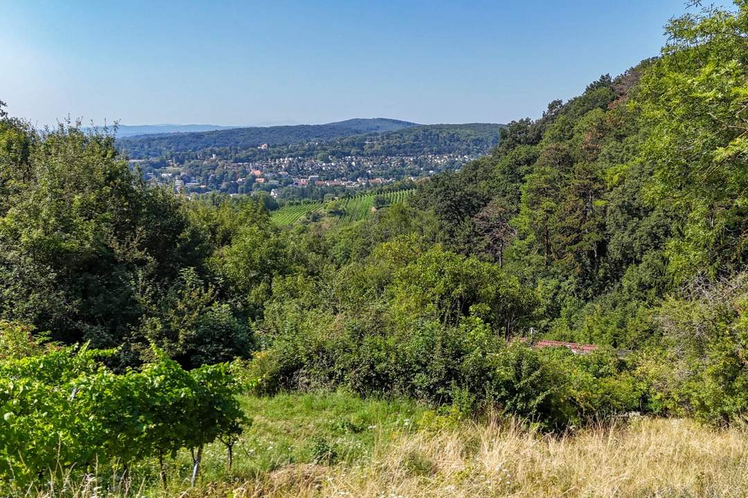 Ehemaliges Weinhauerhaus in einzigartiger Sieveringer Lage wartet auf Revitalisierung!