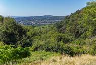 Ehemaliges Weinhauerhaus in einzigartiger Sieveringer Lage wartet auf Revitalisierung!