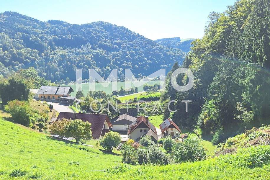 Baugrund 1.177 m² mit Donaublick - Südhang - mit angrenzenden kleinen Grünland 255 m² - St. Nikola, Grund und Boden-kauf, 44.500,€, 4381 Perg