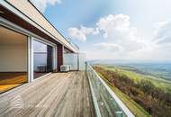 Einzigartiger Blick über Wien! Garconniere mit Terrasse am Kahlenberg