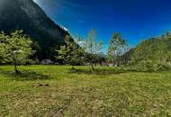 Achensee: Grandioses Grundstück in idyllischer Ruhelage mit einer Fläche von ca. 1010 m²!