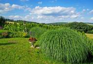 Topgepflegte, elegante Villa in traumhafter Panoramalage