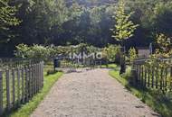 Gartenidylle pur! Provisionsfrei und sofort bezugsbereit!