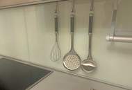 Panorama-Wohnung in Graz, renoviert (Provisionsfrei)