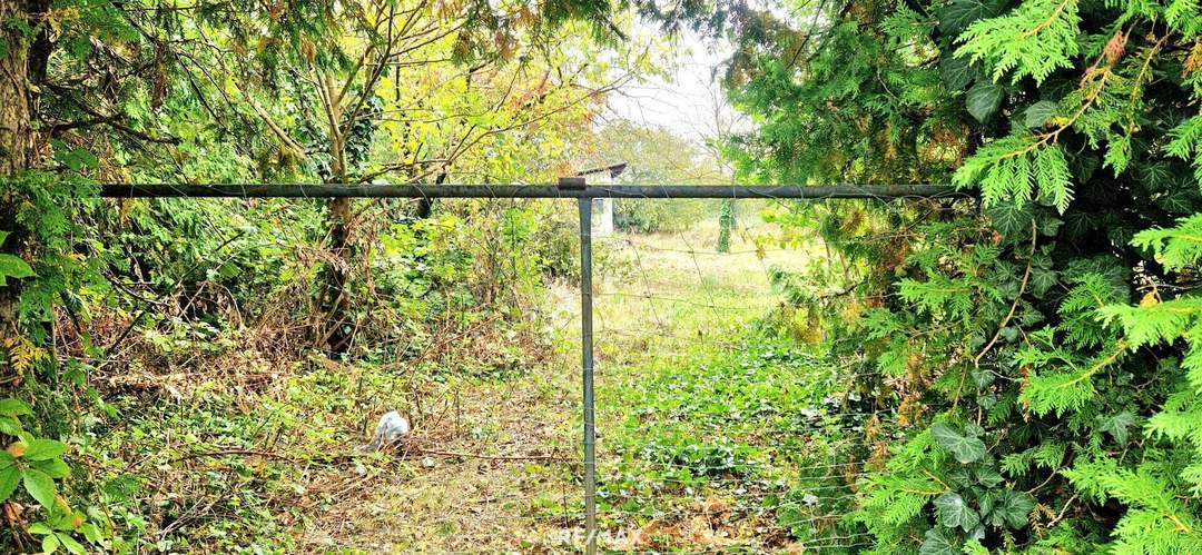 TRAUMHAUS in den Golser Weinbergen möglich!