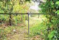 TRAUMHAUS in den Golser Weinbergen möglich!