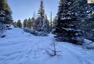 ZWEITWOHNSITZTAUGLICH! Grundstück in idyllischer Lage auf der Turracher Höhe