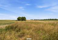 Wald- und landwirtschaftliche Fläche mit 20 370 m² in Untermallebern zu verkaufen!