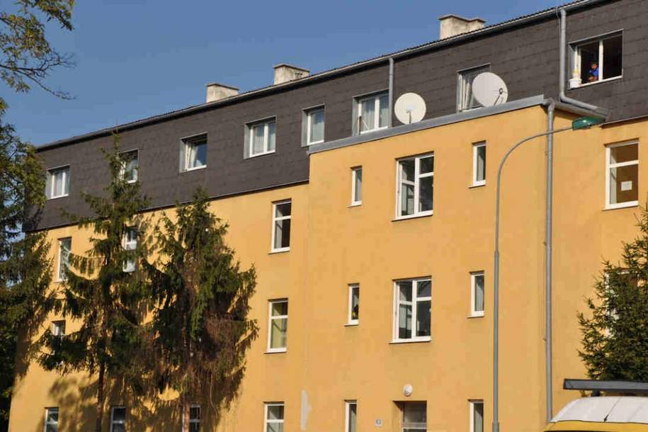 Drei Zimmerwohnung - vermietet bis 21.12.2026!, Gewerbeobjekt-kauf, 169.000,€, 2603 Wiener Neustadt(Land)