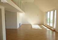 UNBEFRISTET! Erstklassiges Penthouse mit Palais-Blick und 50 m² Terrasse beim Liechtensteinpark - MIETZINSVORAUSZAHLUNG!