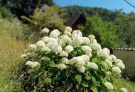 Einfamilienhaus mit viel Potenzial - Wohnen mit Weitblick