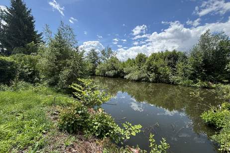 Sonniges Freizeitgrundstück mit idyllischem Teich in begehrter Lage von Wels-Puchberg, Grund und Boden-kauf, 115.000,€, 4600 Wels(Stadt)