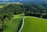 Landhaus mit Scheibengrundstück 23 Minuten vor Graz!