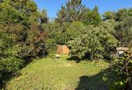 Attraktiver Baugrund im Zentrum mit Gartenhaus
