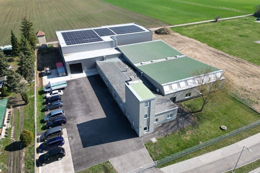 Modernes Betriebsobjekt mit Zubaupotenzial, Gewerbeobjekt-kauf, 2.385.000,€, 2293 Gänserndorf