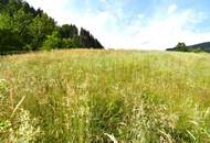 Baugrund in der Nähe von Feldkirchen