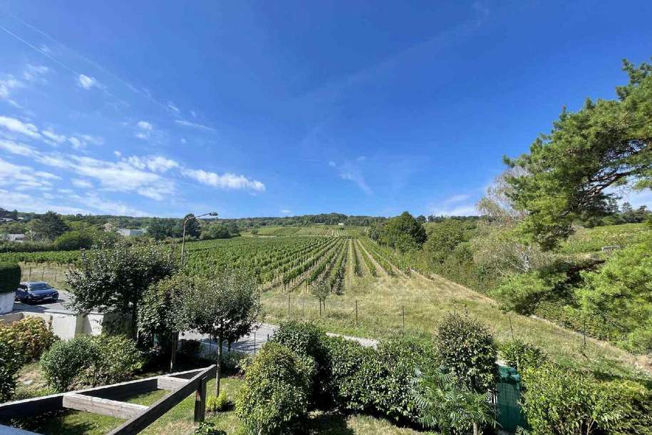 Traumhafte Wohnung mit Terrasse und Weingartenblick in absoluter Ruhelage, Wohnung-miete, 1.850,29,€, 1230 Wien 23., Liesing