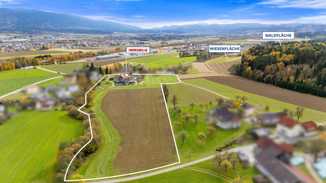 Einzigartige Landwirtschaft mit zwei Wohnhäusern, Wirtschaftsgebäuden, Wald- und Ackerflächen im Lavanttal