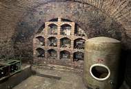 GRUNDSTÜCK MIT WEINKELLER