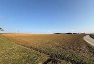 Vierkanter in guter Lage