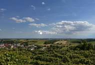 Traumhafte Dachgeschosswohnung mit großer Terrasse im Herzen des Weinviertels/ 12km vor Wien!