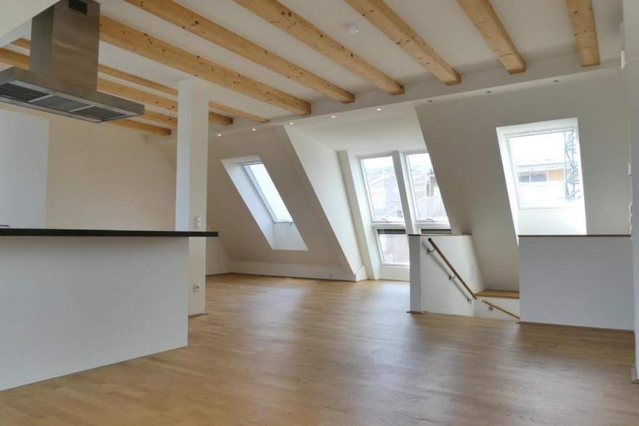 DG-Wohnung mit Traumausstattung und 50m² Dachterrasse - Nähe Karmelitermarkt und 1. Bezirk!!, Wohnung-miete, 3.495,00,€, 1020 Wien 2., Leopoldstadt