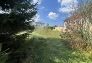 Baugrund mit Altbaumbestand ohne Bauzwang zu verkaufen