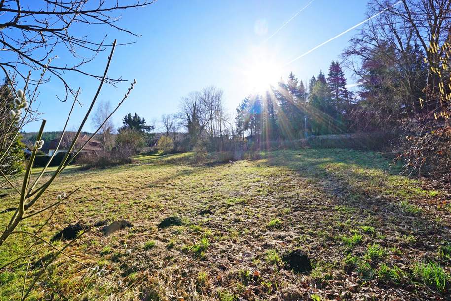 Baugrundstück mit Ausblick in zentraler Ruhelage in Pressbaum, Grund und Boden-kauf, 290.000,€, 3021 Sankt Pölten(Land)