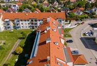 "DAVE - Charmante Gartenwohnung mit 3 Zimmern und Garagenplatz in Orth an der Donau"