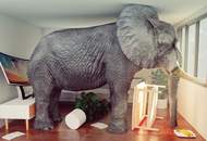 Erstbezug nach Sanierung - 3 1/2 Genossenschaftswohnung