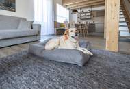 Dormio Aparthotel Hinterstoder - Top Investment in den Bergen