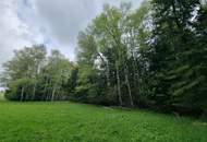 Landwirtschaftliches Grünland mit Waldfläche