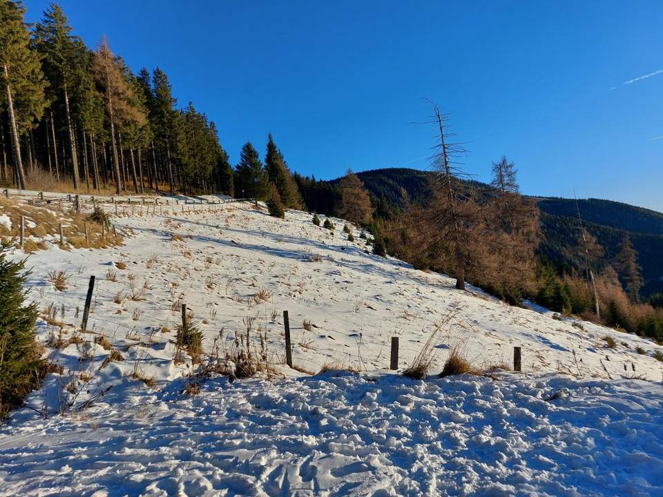 Bauland Kurgebiet und Grünland auf der Koralm