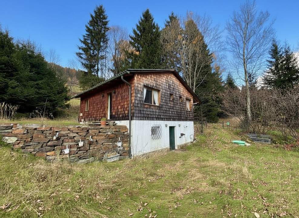 Alpines Ferienhaus nahe der Skipiste | Zirbenschlafzimmer, Kachelofen &amp; Naturidylle | umgeben von Wiesen und Wäldern
