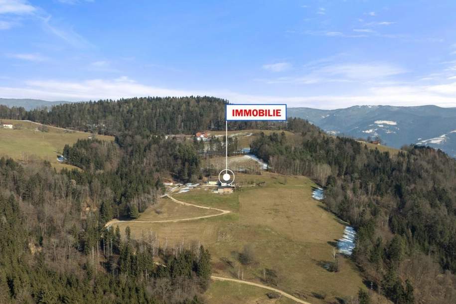 Herrliches Anwesen in traumhafter Alleinlage: Landwirtschaft mit modernem Wohnhaus, Gewerbeobjekt-kauf, 945.000,€, 9473 Wolfsberg