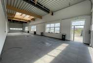 LKW Werkstatt/Halle PROVISIONSFREI!! mit Dachkuppel und Sektionaltor 25m lang (Halle T3)