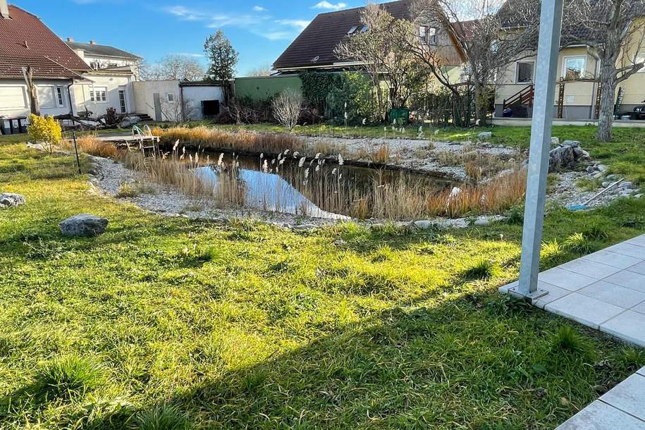 ERSTBEZUG! Top-Eigentumswohnung im Grüngürtel von Wiener Neustadt mit Schwimmteich, Wohnung-kauf, 259.000,€, 2700 Wiener Neustadt(Stadt)