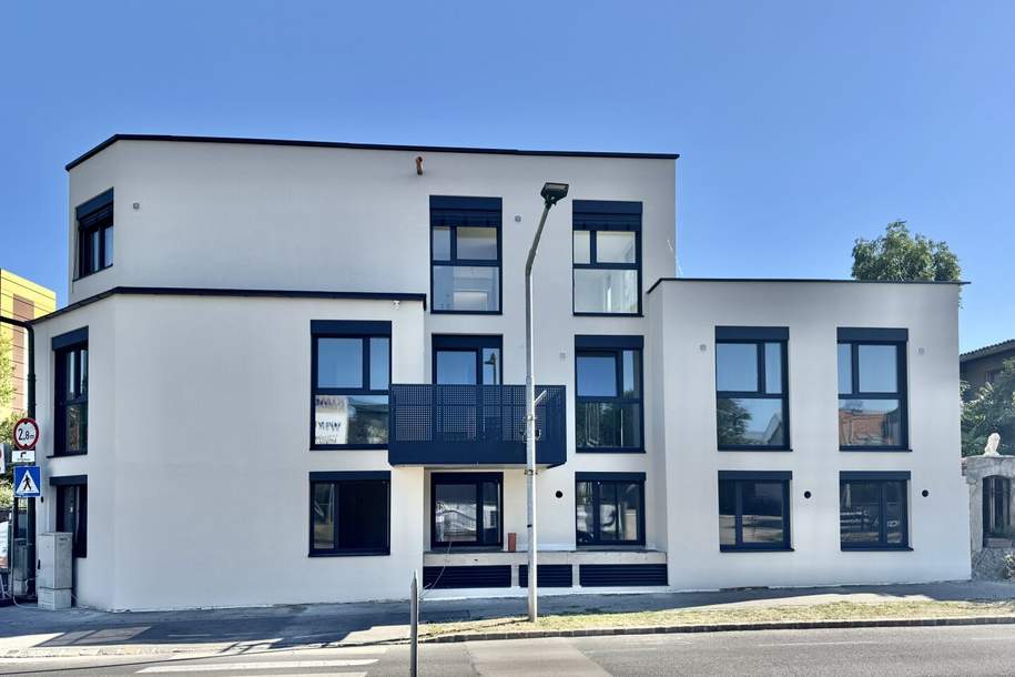 JF2 - Moderne Erstbezugswohnung, 4 Zimmer, Dachterrasse in Brunn/Gebirge, Wohnung-kauf, 549.900,€, 2345 Mödling