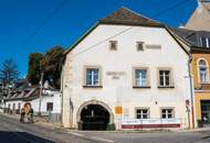 FIRMENSITZ - GESCHÄFTSADRESSE mit Einzel-Arbeitsplatz und Internet! Monatlich ab € 99,-- an TOPADRESSE in DÖBLING!