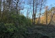 Exklusives Freizeitgrundstück in absoluter Grünruhelage – Natur, Weite &amp; vielfältiges Potenzial in Gaweinstal