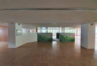 Erfolgreiches Arbeiten auf 500m² moderner Bürofläche "mitten im Dritten"