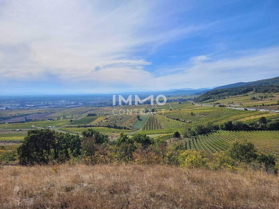 Baugrundstück mit Abbruchobjekt