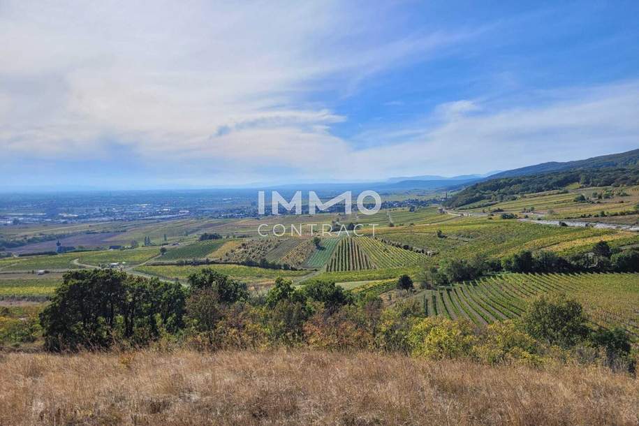 Baugrundstück mit Abbruchobjekt, Grund und Boden-kauf, 630.000,€, 2352 Mödling