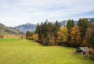 Hochwertig renovierte Wohnung mit Panoramablick
